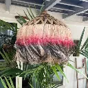 Horizon Trilogy Rattan Pendant light 3.webp